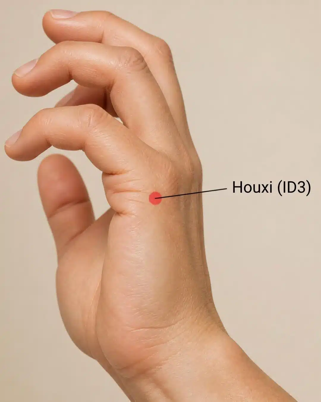 Ubicación del punto de digitopuntura Houxi (ID3) en el borde externo de la mano